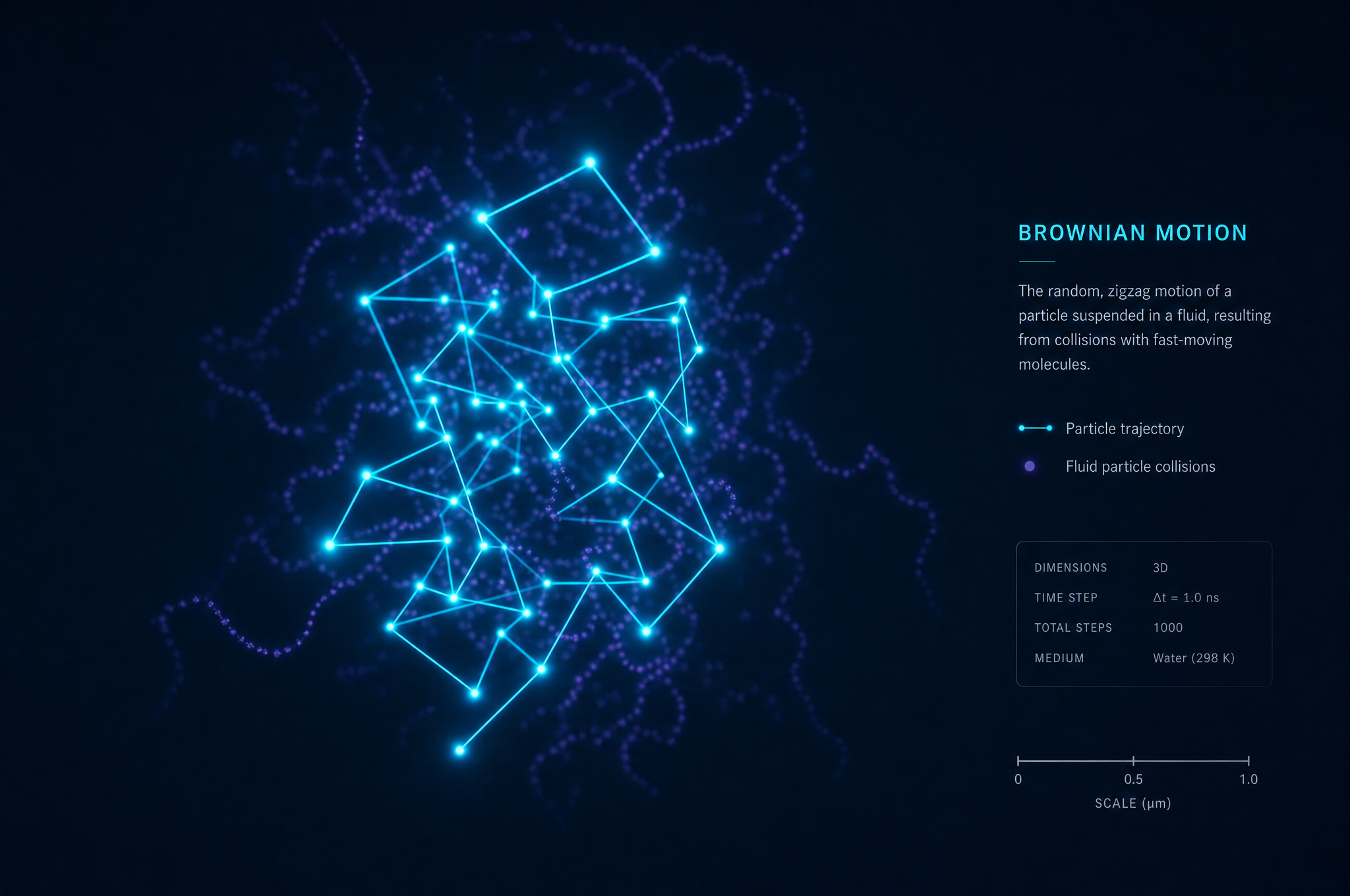 Visualization of Brownian motion random walk path